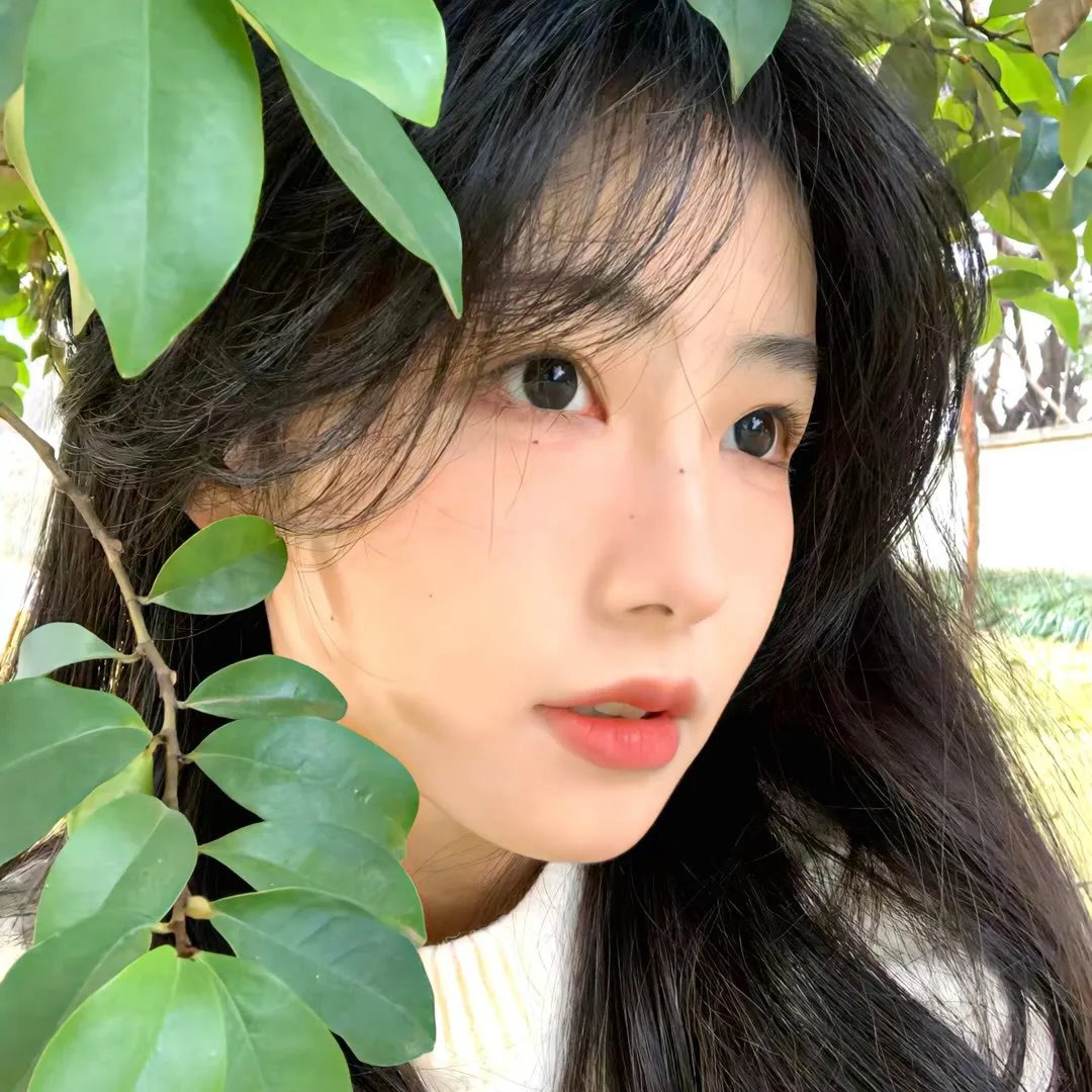 双姝艳